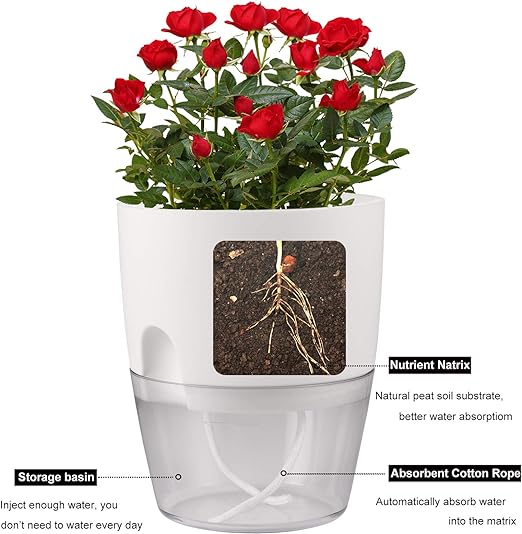 Self-Watering Flowerpot