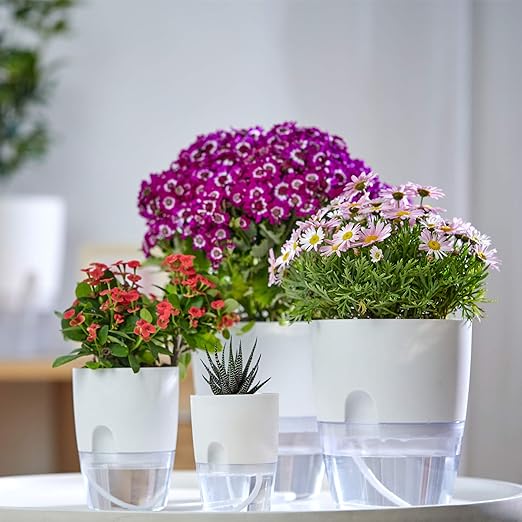 Self-Watering Flowerpot - Double Layer Planter