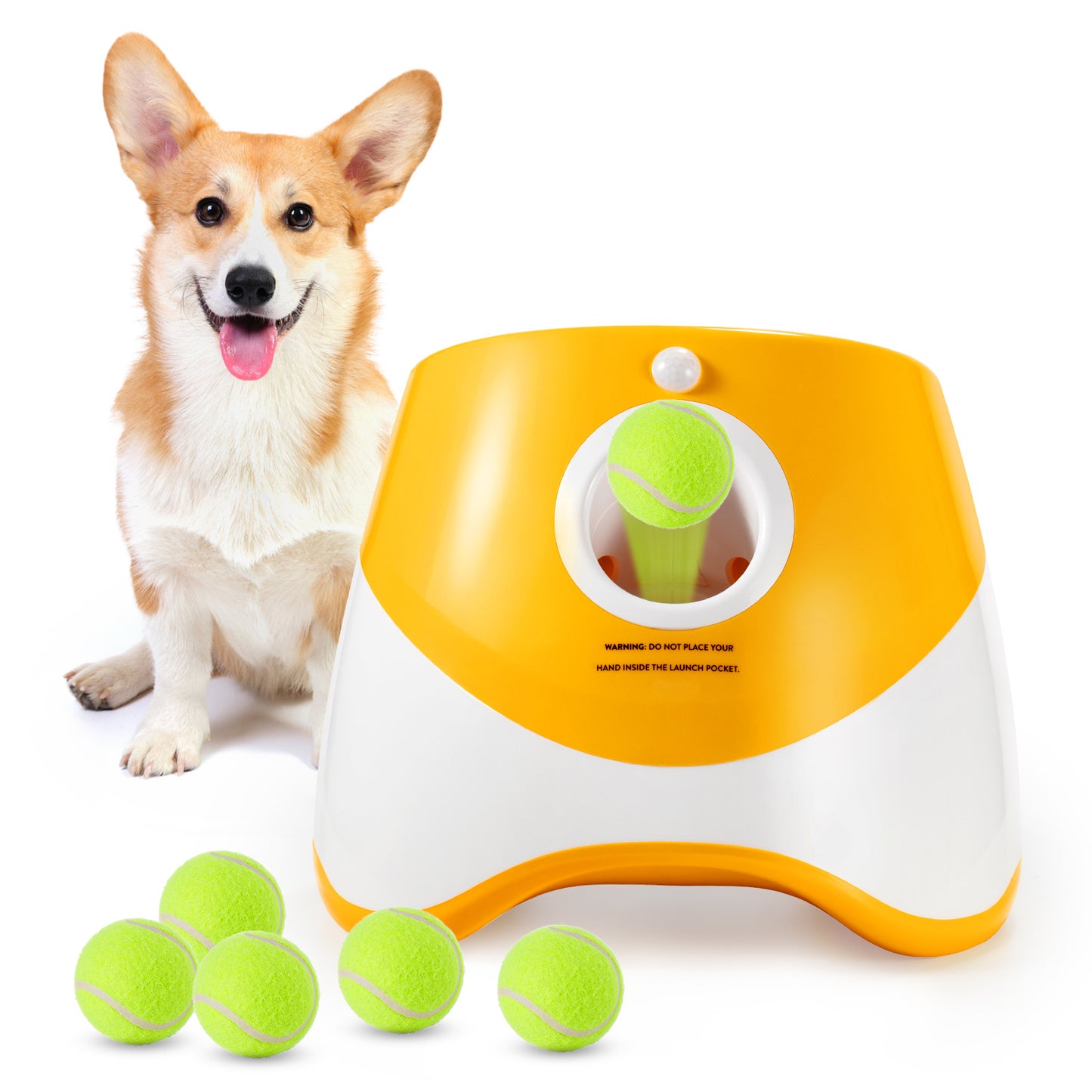 Rechargeable Pet Toy